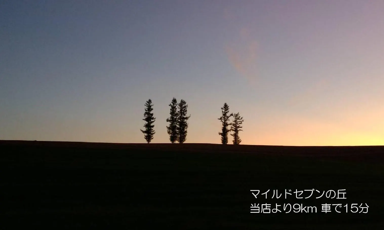 カフェロッジ Touch Wood Biei Bed & Breakfast