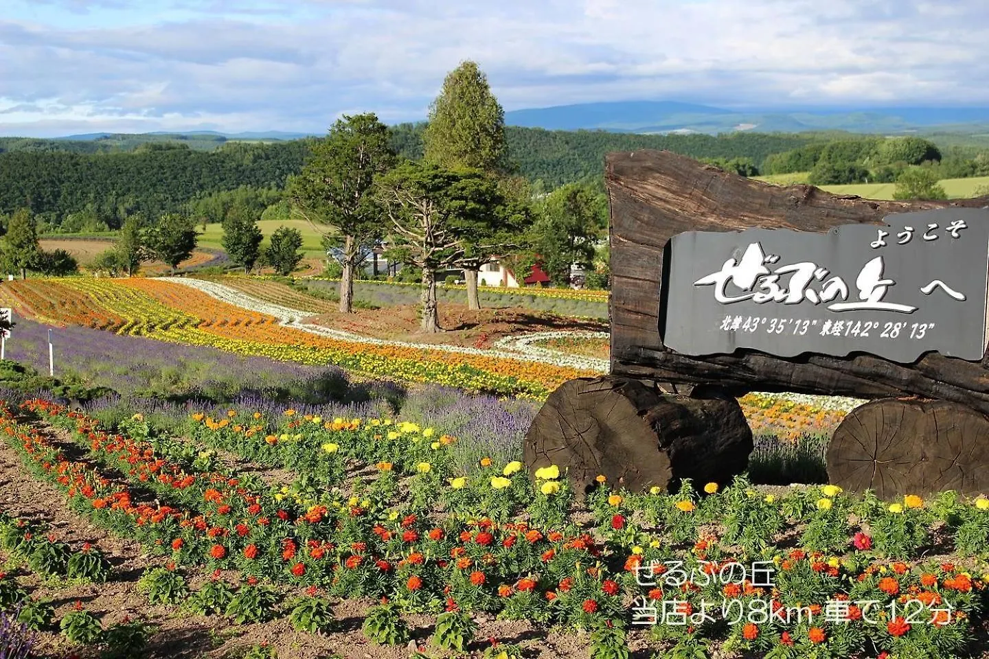 カフェロッジ Touch Wood Biei Bed & Breakfast